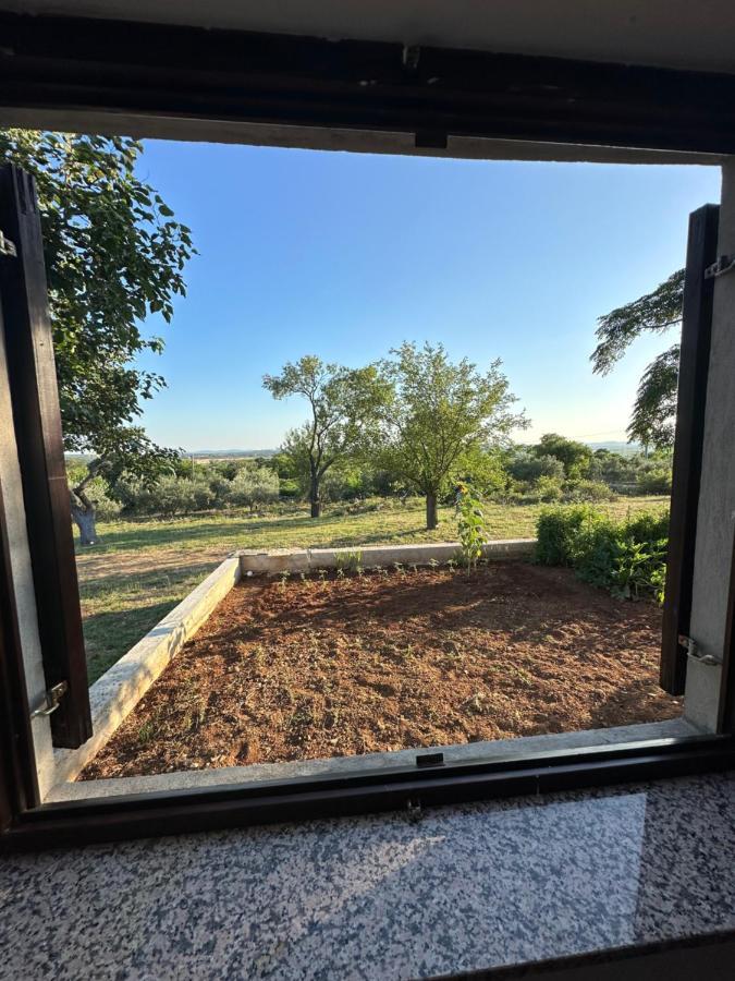 Relax And Unwind: Family-Friendly House Near Zadar In Zagrad Βίλα Εξωτερικό φωτογραφία
